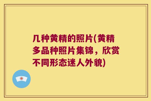 几种黄精的照片(黄精多品种照片集锦，欣赏不同形态迷人外貌)