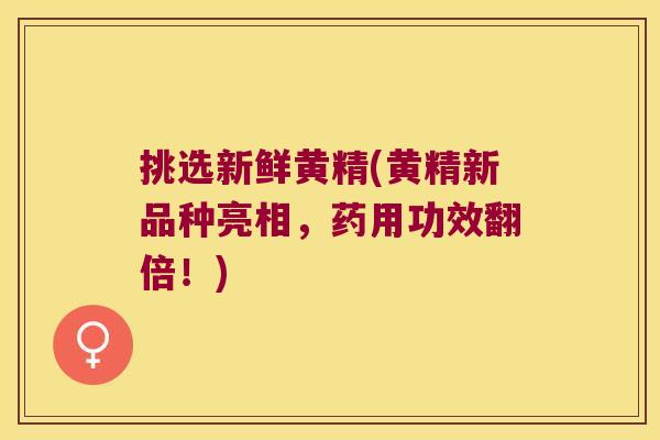 挑选新鲜黄精(黄精新品种亮相,药用功效翻倍!) 挑选新鲜黄精(黄精新品种亮相,药用功效翻倍!)