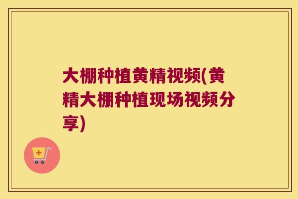 大棚种植黄精视频(黄精大棚种植现场视频分享)