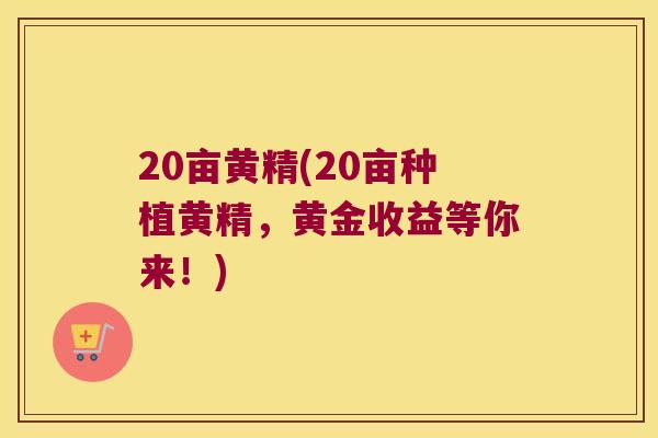 20亩黄精(20亩种植黄精，黄金收益等你来！)