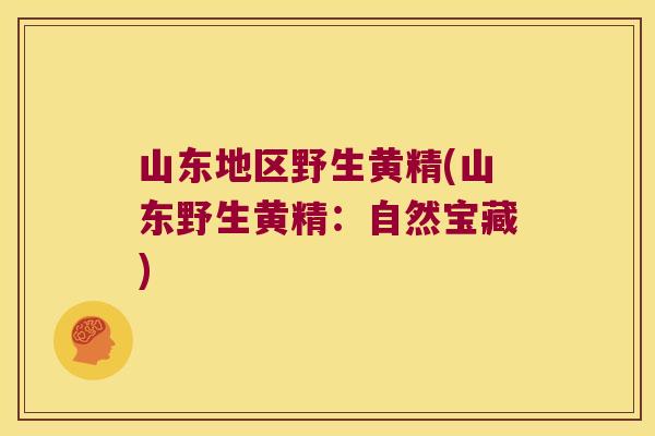 山东地区野生黄精(山东野生黄精：自然宝藏)