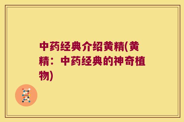 经典介绍黄精(黄精:经典的神奇植物) 经典介绍黄精(黄精:经典的神奇植物)