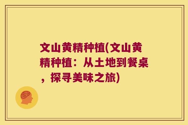 文山黄精种植(文山黄精种植：从土地到餐桌，探寻美味之旅)