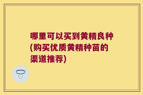 哪里可以买到黄精良种(购买优质黄精种苗的渠道推荐)