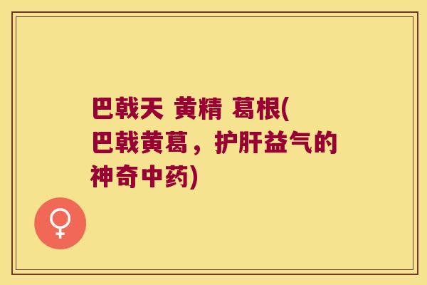巴戟天 黄精 葛根(巴戟黄葛,益气的神奇) 巴戟天 黄精 葛根(巴戟黄葛,益气的神奇)