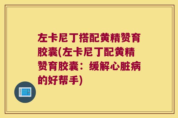 左卡尼丁搭配黄精赞育胶囊(左卡尼丁配黄精赞育胶囊：缓解的好帮手)