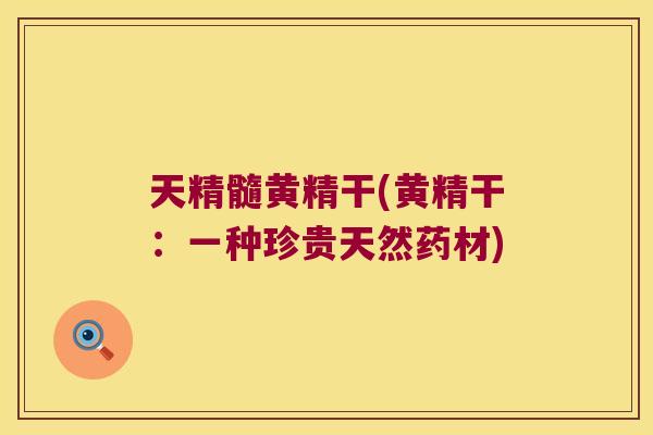 天精髓黄精干(黄精干：一种珍贵天然药材)