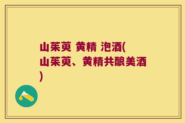 山茱萸 黄精 泡酒(山茱萸、黄精共酿美酒)