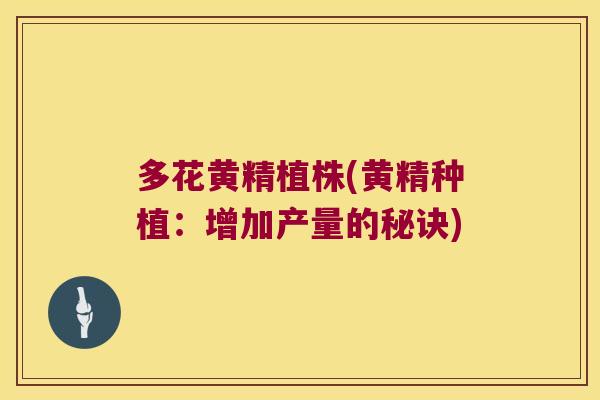 多花黄精植株(黄精种植:增加产量的秘诀) 多花黄精植株(黄精种植:增加产量的秘诀)