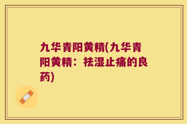 九华青阳黄精(九华青阳黄精：祛湿的良药)