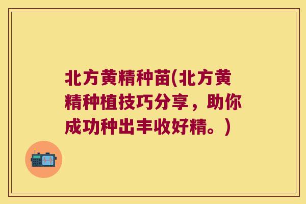 北方黄精种苗(北方黄精种植技巧分享，助你成功种出丰收好精。)