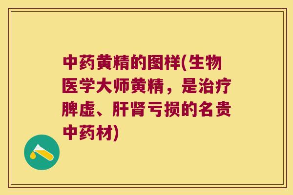 黄精的图样(生物医学大师黄精，是脾虚、亏损的名贵材)