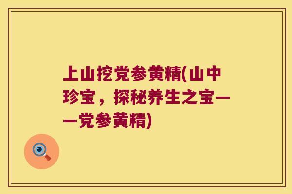 上山挖党参黄精(山中珍宝，探秘养生之宝——党参黄精)