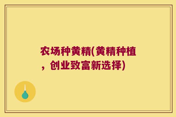 农场种黄精(黄精种植，创业致富新选择)