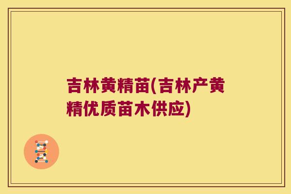 吉林黄精苗(吉林产黄精优质苗木供应) 吉林黄精苗(吉林产黄精优质苗木供应)