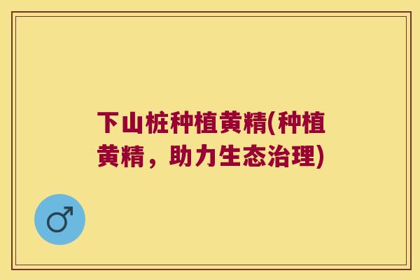 下山桩种植黄精(种植黄精，助力生态理)