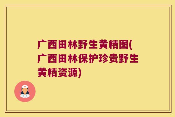 广西田林野生黄精图(广西田林保护珍贵野生黄精资源)