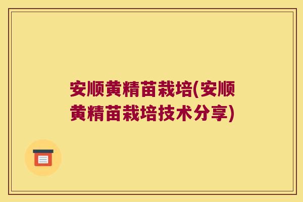 安顺黄精苗栽培(安顺黄精苗栽培技术分享)