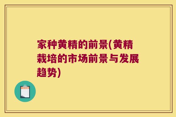 家种黄精的前景(黄精栽培的市场前景与发展趋势)
