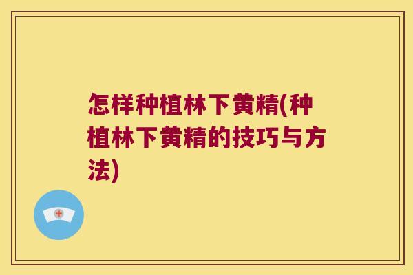 怎样种植林下黄精(种植林下黄精的技巧与方法)
