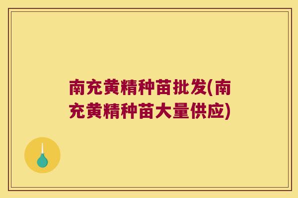 南充黄精种苗批发(南充黄精种苗大量供应) 南充黄精种苗批发(南充黄精种苗大量供应)