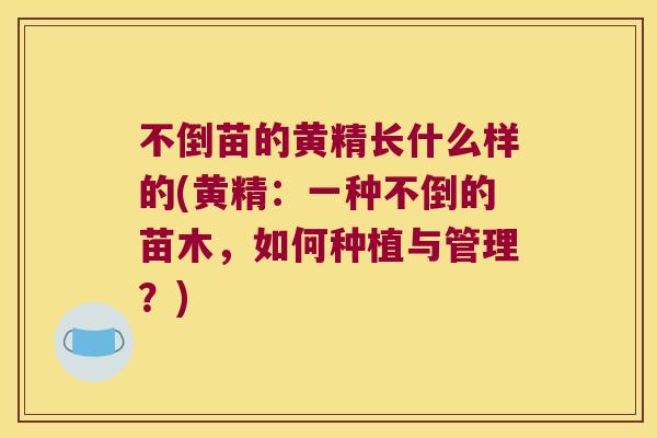 不倒苗的黄精长什么样的(黄精:一种不倒的苗木,如何种植与管理?) 不倒苗的黄精长什么样的(黄精:一种不倒的苗木,如何种植与管理?)