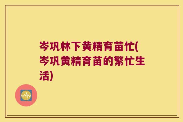 岑巩林下黄精育苗忙(岑巩黄精育苗的繁忙生活) 岑巩林下黄精育苗忙(岑巩黄精育苗的繁忙生活)