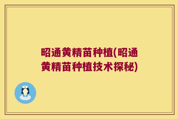昭通黄精苗种植(昭通黄精苗种植技术探秘)