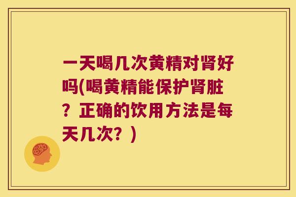一天喝几次黄精对好吗(喝黄精能保护脏？正确的饮用方法是每天几次？)