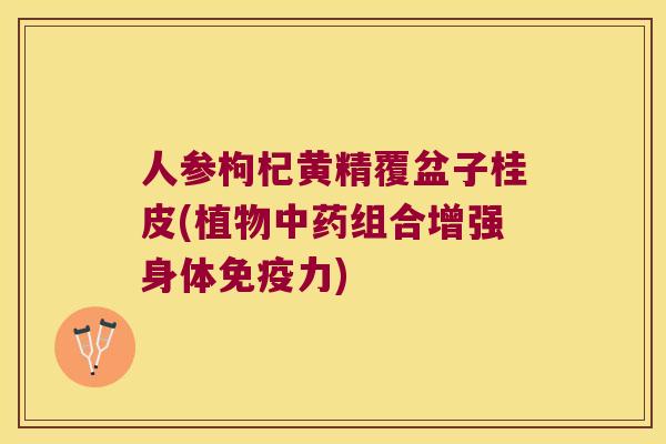 人参枸杞黄精覆盆子桂皮(植物组合增强身体力)