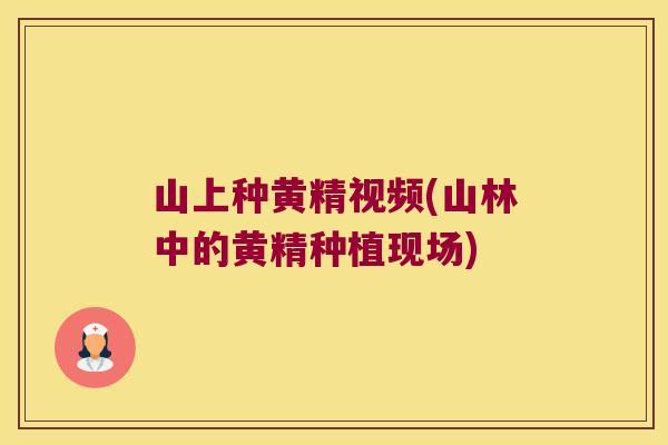 山上种黄精视频(山林中的黄精种植现场)