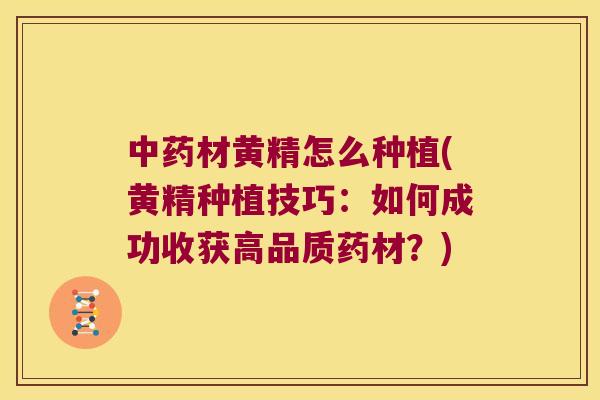 材黄精怎么种植(黄精种植技巧：如何成功收获高品质药材？)