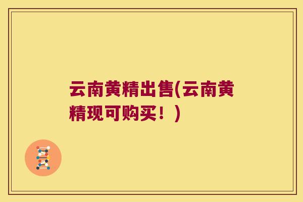 云南黄精出售(云南黄精现可购买!) 云南黄精出售(云南黄精现可购买!)