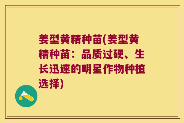 姜型黄精种苗(姜型黄精种苗：品质过硬、生长迅速的明星作物种植选择)