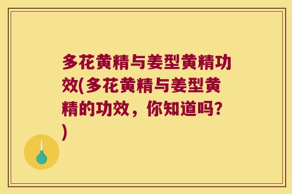 多花黄精与姜型黄精功效(多花黄精与姜型黄精的功效,你知道吗?) 多花黄精与姜型黄精功效(多花黄精与姜型黄精的功效,你知道吗?)