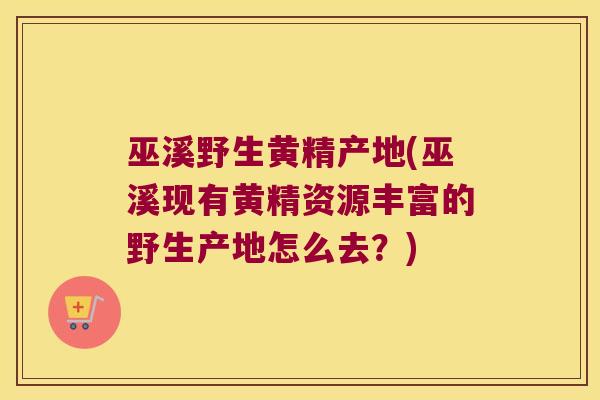 巫溪野生黄精产地(巫溪现有黄精资源丰富的野生产地怎么去?) 巫溪野生黄精产地(巫溪现有黄精资源丰富的野生产地怎么去?)