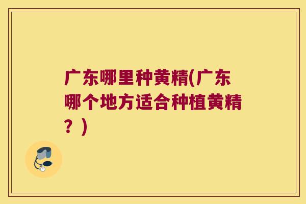 广东哪里种黄精(广东哪个地方适合种植黄精？)