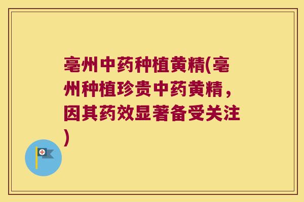 亳州种植黄精(亳州种植珍贵黄精,因其显著备受关注) 亳州种植黄精(亳州种植珍贵黄精,因其显著备受关注)