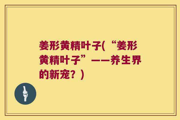 姜形黄精叶子(“姜形黄精叶子”——养生界的新宠？)
