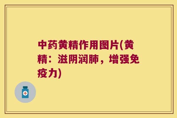 黄精作用图片(黄精：滋阴润，增强力)