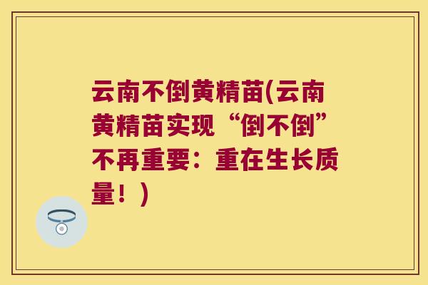 云南不倒黄精苗(云南黄精苗实现“倒不倒”不再重要:重在生长质量!) 云南不倒黄精苗(云南黄精苗实现“倒不倒”不再重要:重在生长质量!)