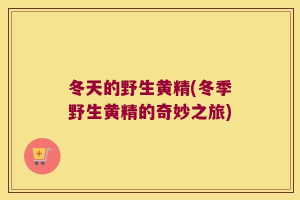 冬天的野生黄精(冬季野生黄精的奇妙之旅) 冬天的野生黄精(冬季野生黄精的奇妙之旅)