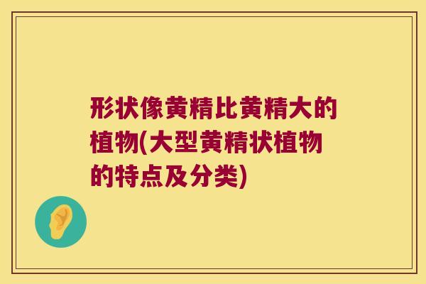 形状像黄精比黄精大的植物(大型黄精状植物的特点及分类) 形状像黄精比黄精大的植物(大型黄精状植物的特点及分类)