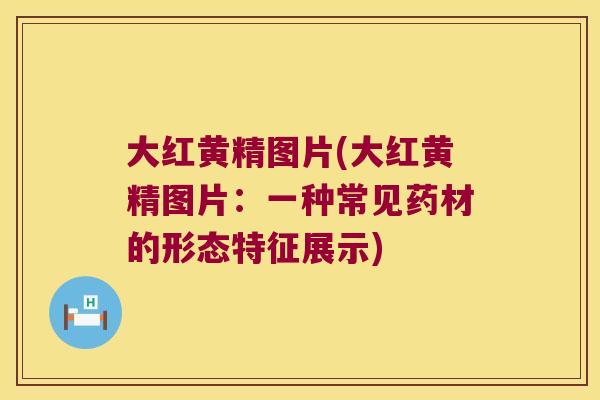 大红黄精图片(大红黄精图片：一种常见药材的形态特征展示)