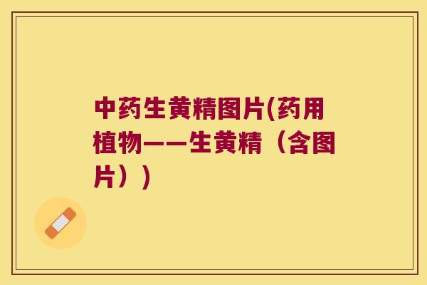 生黄精图片(药用植物——生黄精（含图片）)