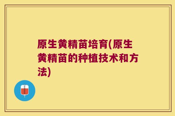原生黄精苗培育(原生黄精苗的种植技术和方法)
