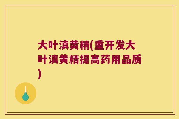 大叶滇黄精(重开发大叶滇黄精提高药用品质) 大叶滇黄精(重开发大叶滇黄精提高药用品质)