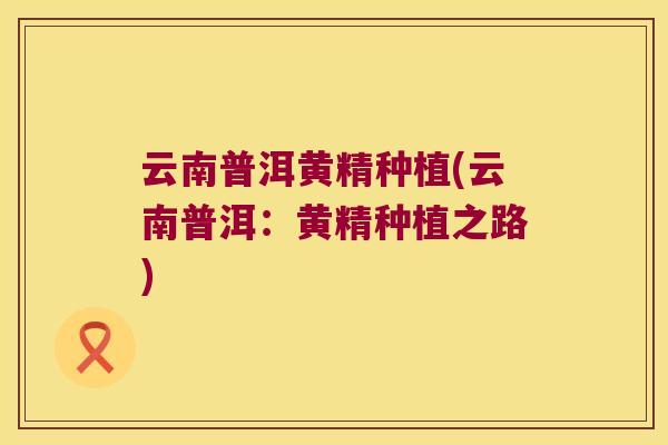 云南普洱黄精种植(云南普洱:黄精种植之路) 云南普洱黄精种植(云南普洱:黄精种植之路)