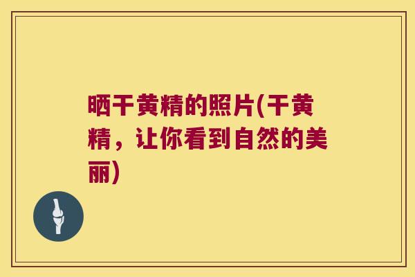 晒干黄精的照片(干黄精，让你看到自然的美丽)