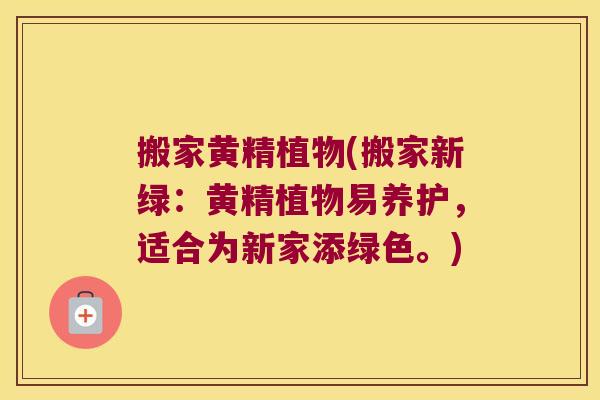 搬家黄精植物(搬家新绿：黄精植物易养护，适合为新家添绿色。)